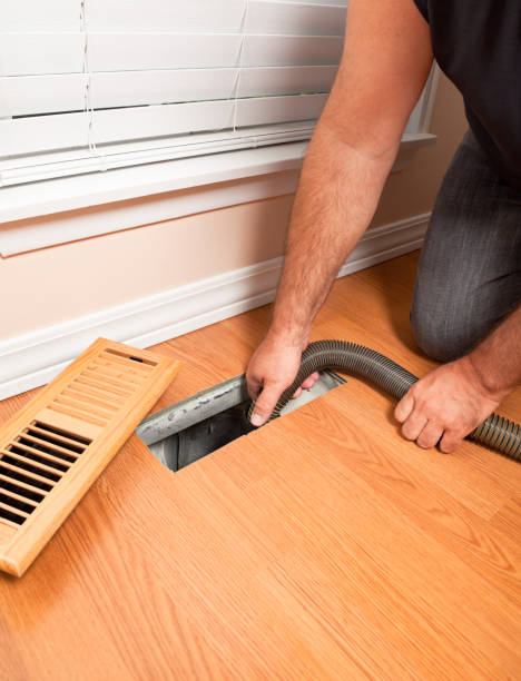 Air Duct Mold Removal in Prospect, OH